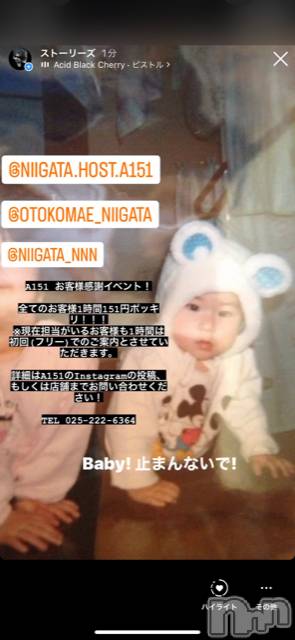 ��Į�ۥ��ȡ��ܡ������С�A151(�����������ݥ���) �褦��7��24���̥�֥�������������