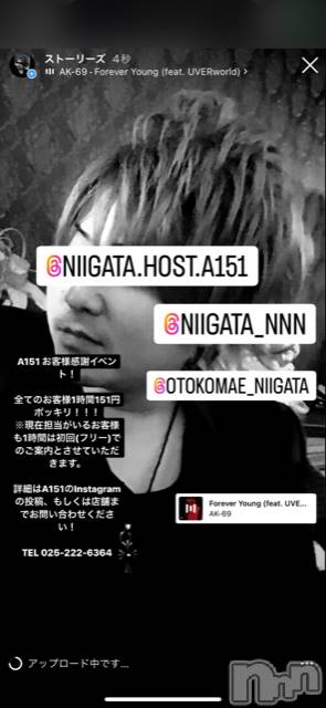 ��Į�ۥ��ȡ��ܡ������С�A151(�����������ݥ���) �褦��8��15���̥�֥����ַ�������