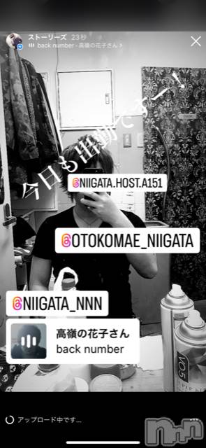 ��Į�ۥ��ȡ��ܡ������С�A151(�����������ݥ���) �褦��9��8���̥�֥�������������