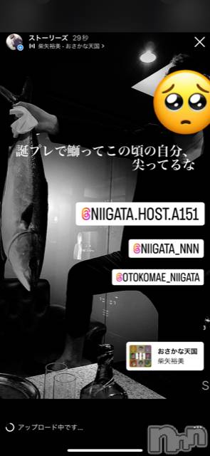 ��Į�ۥ��ȡ��ܡ������С�A151(�����������ݥ���) �褦��9��9���̥�֥����ֶ�������