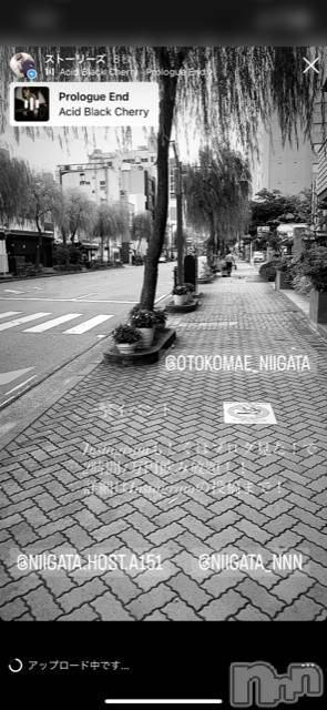 ��Į�ۥ��ȡ��ܡ������С�A151(�����������ݥ���) �褦��9��21���̥�֥����ֿ�������