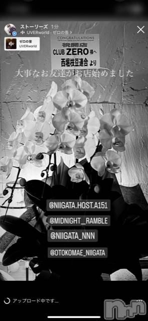 ��Į�ۥ��ȡ��ܡ������С�A151(�����������ݥ���) �褦��11��20���̥�֥�������������