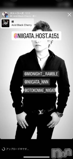 ��Į�ۥ��ȡ��ܡ������С�A151(�����������ݥ���) �褦��11��21���̥�֥����ַ�������