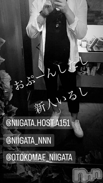 ��Į�ۥ��ȡ��ܡ������С�A151(�����������ݥ���) �褦��7��27���̥�֥�������������