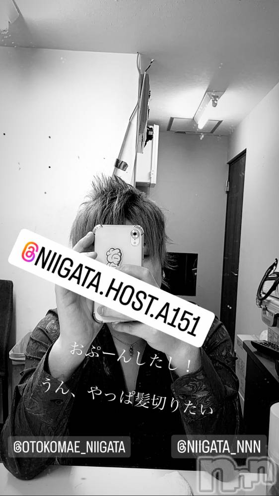 ��Į�ۥ��ȡ��ܡ������С�A151(�����������ݥ���) �褦��7��29���̥�֥�������������