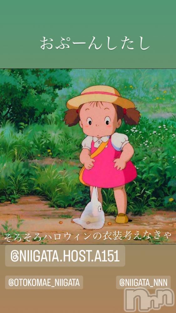 ��Į�ۥ��ȡ��ܡ������С�A151(�����������ݥ���) �褦��8��10���̥�֥�������������