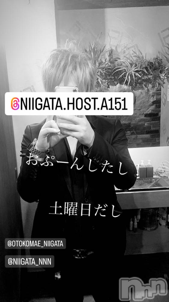 ��Į�ۥ��ȡ��ܡ������С�A151(�����������ݥ���) �褦��8��19���̥�֥�������������