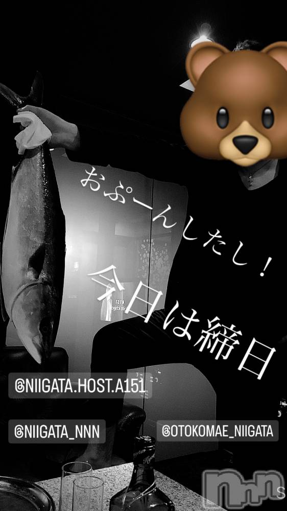 ��Į�ۥ��ȡ��ܡ������С�A151(�����������ݥ���) �褦��8��31���̥�֥�������������