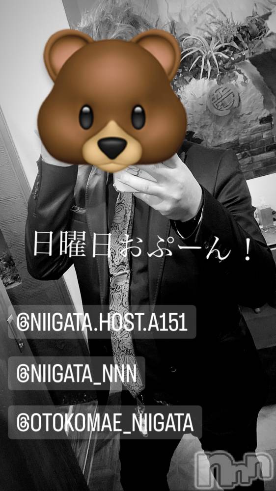 ��Į�ۥ��ȡ��ܡ������С�A151(�����������ݥ���) �褦��9��3���̥�֥�������������