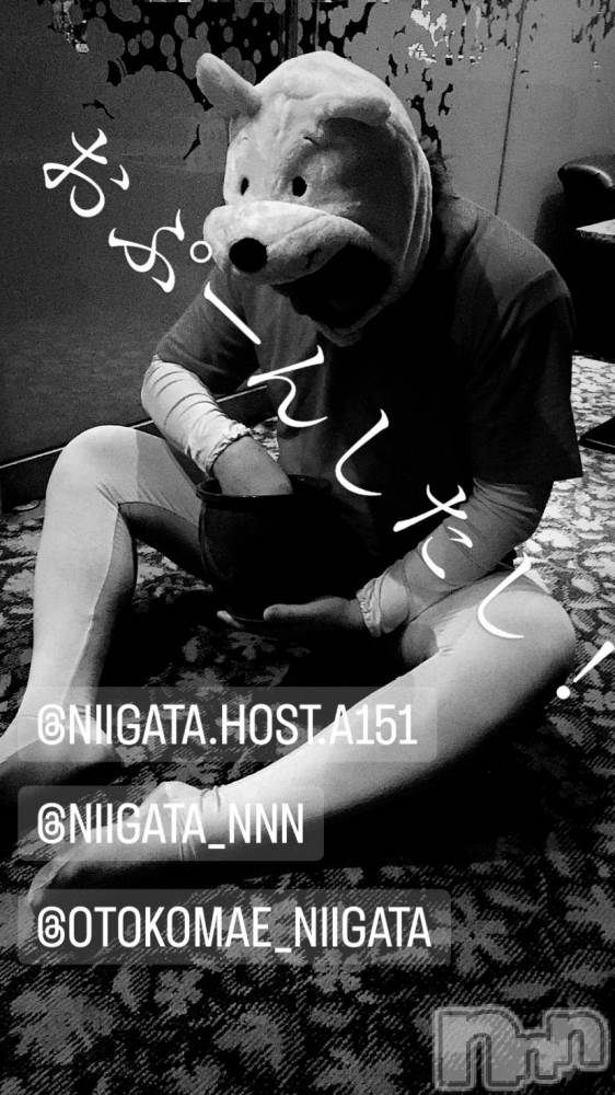 ��Į�ۥ��ȡ��ܡ������С�A151(�����������ݥ���) �褦��9��6���̥�֥����ֿ�������