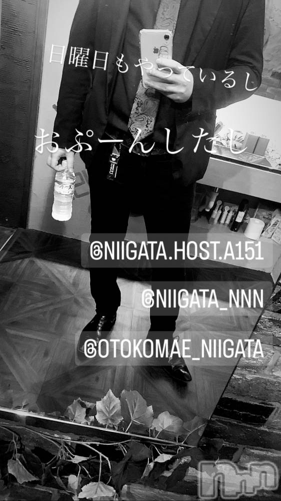 ��Į�ۥ��ȡ��ܡ������С�A151(�����������ݥ���) �褦��9��10���̥�֥�������������