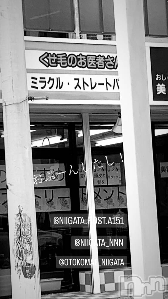 ��Į�ۥ��ȡ��ܡ������С�A151(�����������ݥ���) �褦��9��14���̥�֥�������������