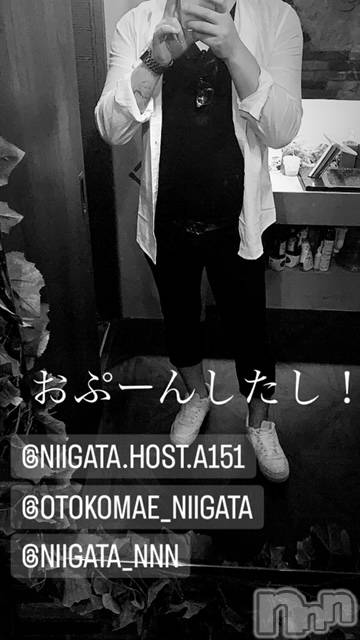 ��Į�ۥ��ȡ��ܡ������С�A151(�����������ݥ���) �褦��9��17���̥�֥�������������