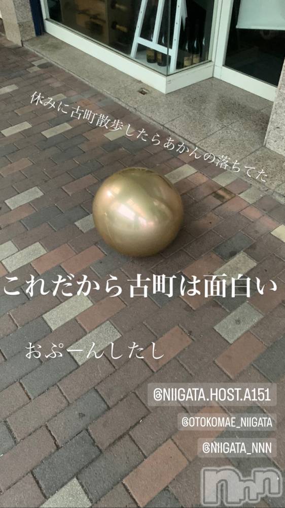 ��Į�ۥ��ȡ��ܡ������С�A151(�����������ݥ���) �褦��9��20���̥�֥����ֿ�������