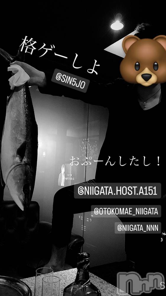 ��Į�ۥ��ȡ��ܡ������С�A151(�����������ݥ���) �褦��9��24���̥�֥�������������