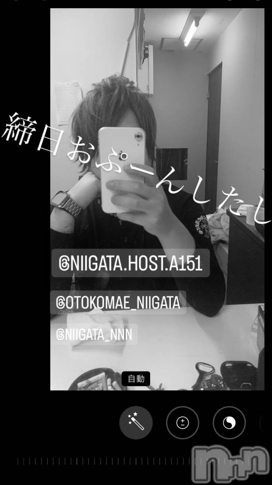 ��Į�ۥ��ȡ��ܡ������С�A151(�����������ݥ���) �褦��9��30���̥�֥�������������