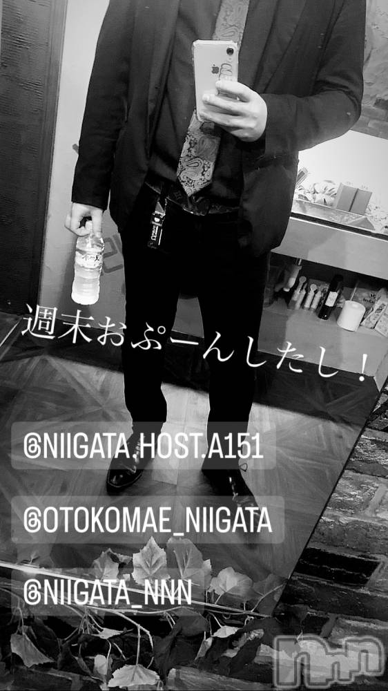 ��Į�ۥ��ȡ��ܡ������С�A151(�����������ݥ���) �褦��10��7���̥�֥�������������