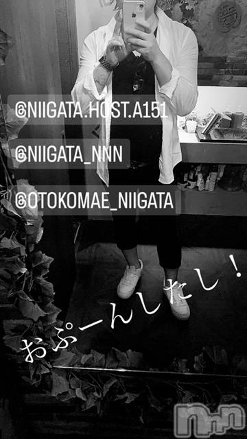 ��Į�ۥ��ȡ��ܡ������С�A151(�����������ݥ���) �褦��10��20���̥�֥����ֶ�������