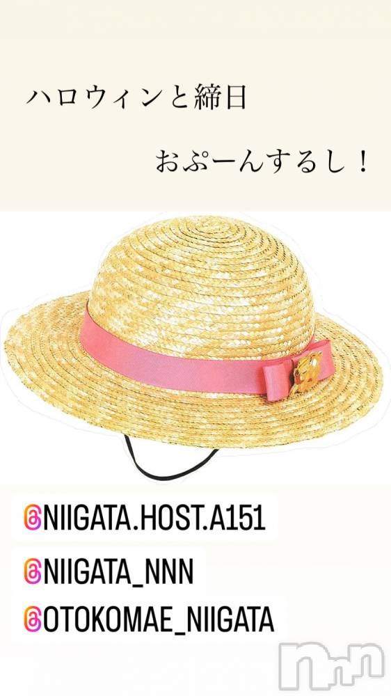 ��Į�ۥ��ȡ��ܡ������С�A151(�����������ݥ���) �褦��10��30���̥�֥����ַ�������