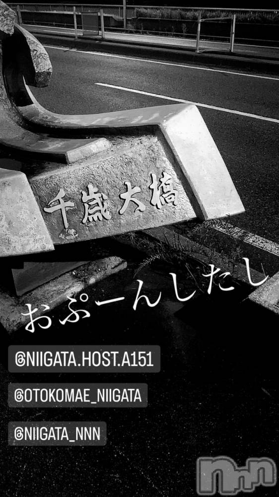 ��Į�ۥ��ȡ��ܡ������С�A151(�����������ݥ���) �褦��11��4���̥�֥�������������