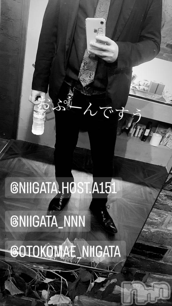 ��Į�ۥ��ȡ��ܡ������С�A151(�����������ݥ���) �褦��11��8���̥�֥����ֿ�������