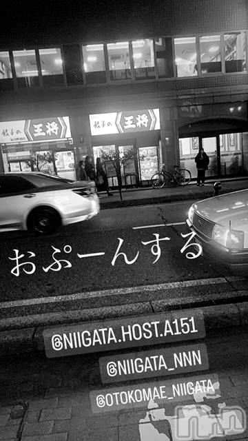 ��Į�ۥ��ȡ��ܡ������С�A151(�����������ݥ���) �褦��11��9���̥�֥�������������