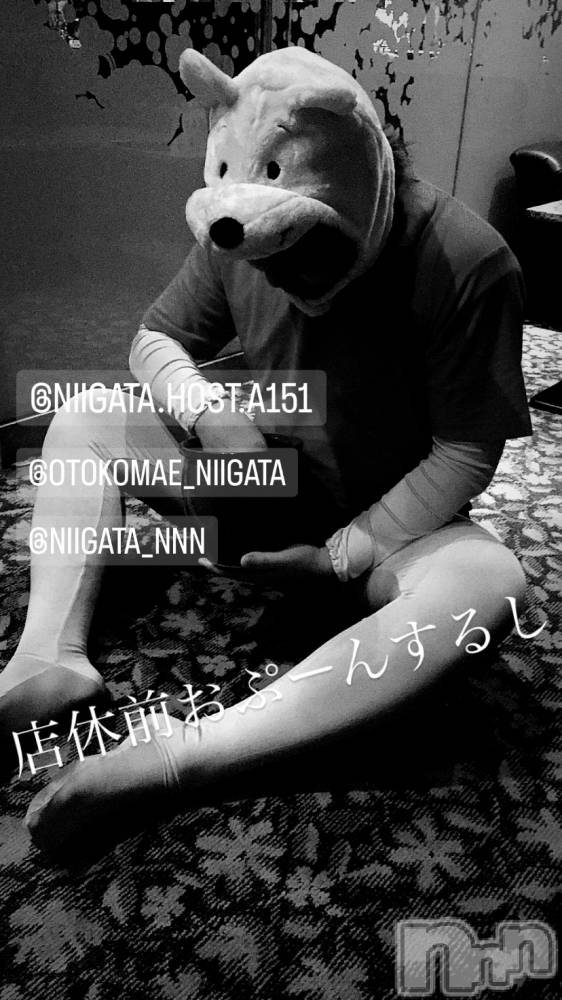 ��Į�ۥ��ȡ��ܡ������С�A151(�����������ݥ���) �褦��11��13���̥�֥����ַ�������