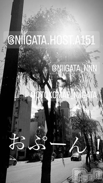 ��Į�ۥ��ȡ��ܡ������С�A151(�����������ݥ���) �褦��11��26���̥�֥�������������