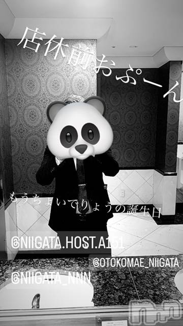 ��Į�ۥ��ȡ��ܡ������С�A151(�����������ݥ���) �褦��12��4���̥�֥����ַ�������