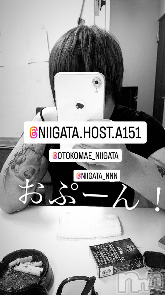 ��Į�ۥ��ȡ��ܡ������С�A151(�����������ݥ���) �褦��12��13���̥�֥����ֿ�������