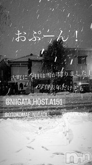 ��Į�ۥ��ȡ��ܡ������С�A151(�����������ݥ���) �褦��12��17���̥�֥�������������