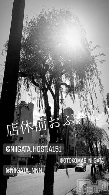 ��Į�ۥ��ȡ��ܡ������С�A151(�����������ݥ���) �褦��12��18���̥�֥����ַ�������