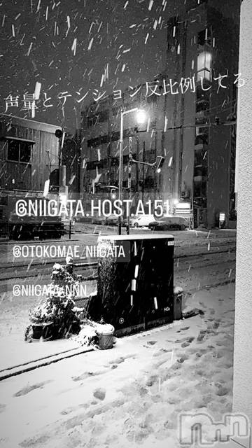 ��Į�ۥ��ȡ��ܡ������С�A151(�����������ݥ���) �褦��12��22���̥�֥����ֶ�������