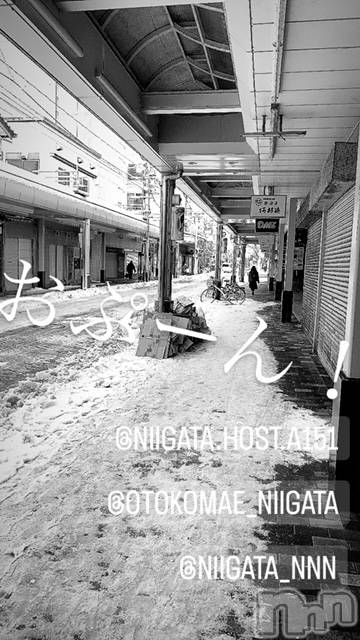 ��Į�ۥ��ȡ��ܡ������С�A151(�����������ݥ���) �褦��12��23���̥�֥�������������