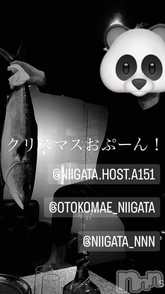 ��Į�ۥ��ȡ��ܡ������С�A151(�����������ݥ���) �褦��12��24���̥�֥�������������