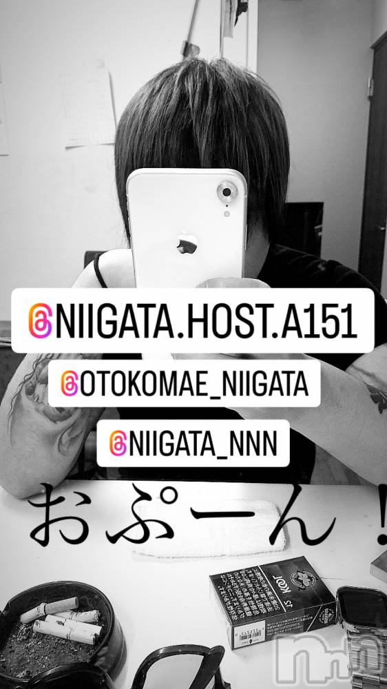 ��Į�ۥ��ȡ��ܡ������С�A151(�����������ݥ���) �褦��1��6���̥�֥�������������