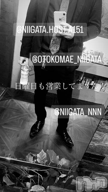 ��Į�ۥ��ȡ��ܡ������С�A151(�����������ݥ���) �褦��1��7���̥�֥�������������