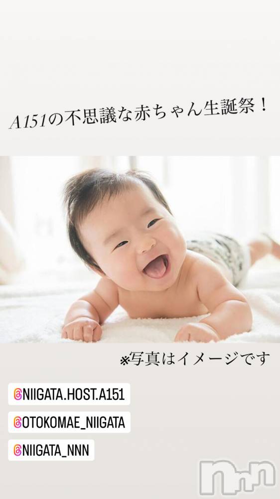 ��Į�ۥ��ȡ��ܡ������С�A151(�����������ݥ���) �褦��1��10���̥�֥����ֿ�������