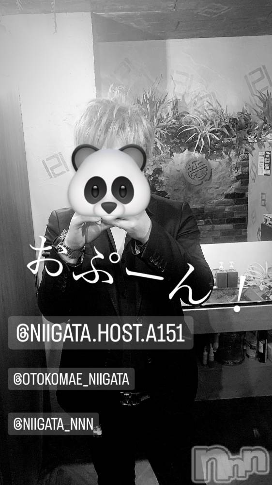 ��Į�ۥ��ȡ��ܡ������С�A151(�����������ݥ���) �褦��1��11���̥�֥�������������