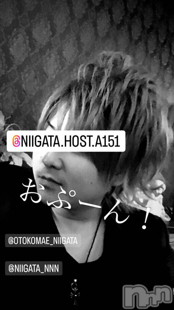 ��Į�ۥ��ȡ��ܡ������С�A151(�����������ݥ���) �褦��1��13���̥�֥�������������