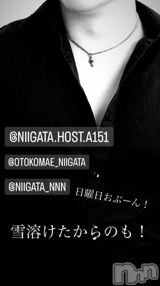 ��Į�ۥ��ȡ��ܡ������С�A151(�����������ݥ���) �褦��1��14���̥�֥�������������