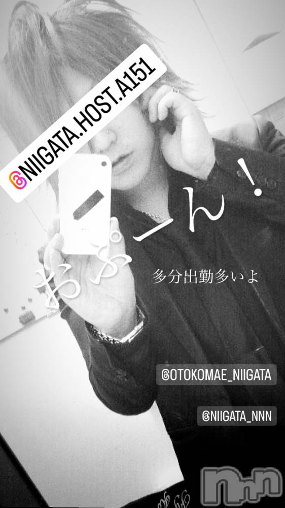 ��Į�ۥ��ȡ��ܡ������С�A151(�����������ݥ���) �褦��1��17���̥�֥����ֿ�������