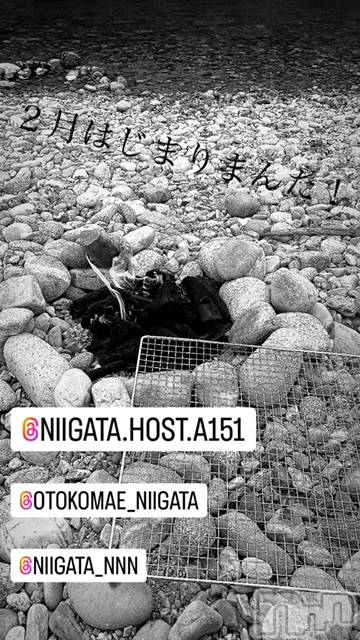 ��Į�ۥ��ȡ��ܡ������С�A151(�����������ݥ���) �褦��2��2���̥�֥����ֶ�������