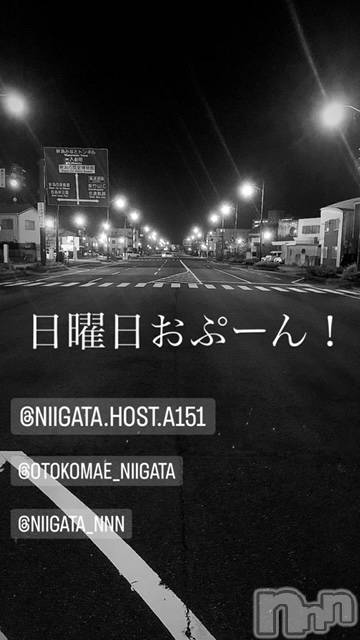 ��Į�ۥ��ȡ��ܡ������С�A151(�����������ݥ���) �褦��2��4���̥�֥�������������