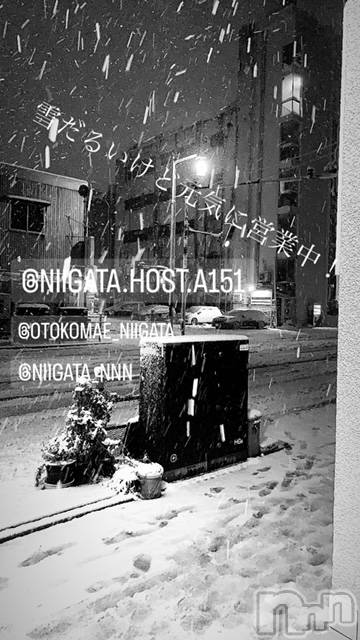 ��Į�ۥ��ȡ��ܡ������С�A151(�����������ݥ���) �褦��2��5���̥�֥����ַ�������