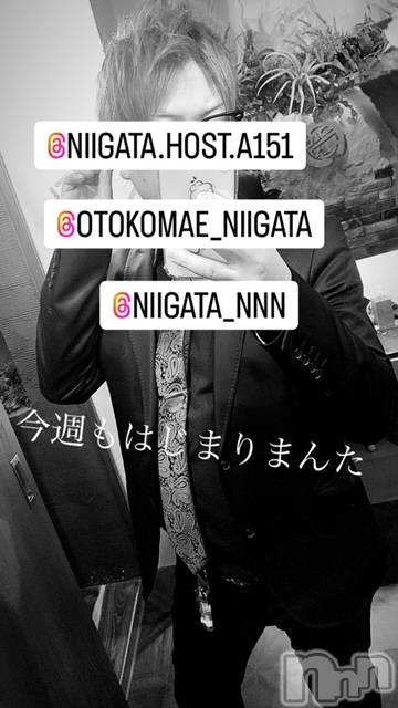 ��Į�ۥ��ȡ��ܡ������С�A151(�����������ݥ���) �褦��2��7���̥�֥����ֿ�������