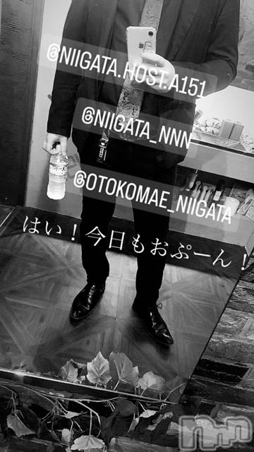 ��Į�ۥ��ȡ��ܡ������С�A151(�����������ݥ���) �褦��2��8���̥�֥�������������