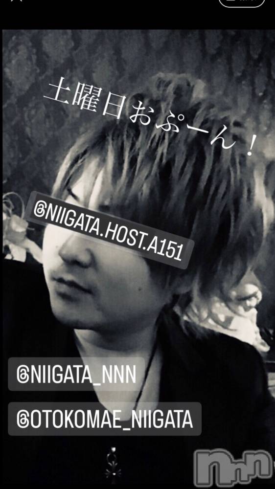 ��Į�ۥ��ȡ��ܡ������С�A151(�����������ݥ���) �褦��2��10���̥�֥�������������