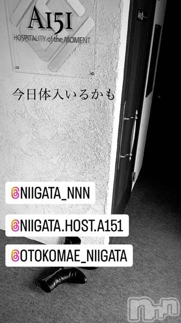 ��Į�ۥ��ȡ��ܡ������С�A151(�����������ݥ���) �褦��3��3���̥�֥�������������