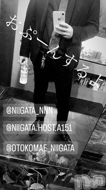 ��Į�ۥ��ȡ��ܡ������С�A151(�����������ݥ���) �褦��3��4���̥�֥����ַ�������